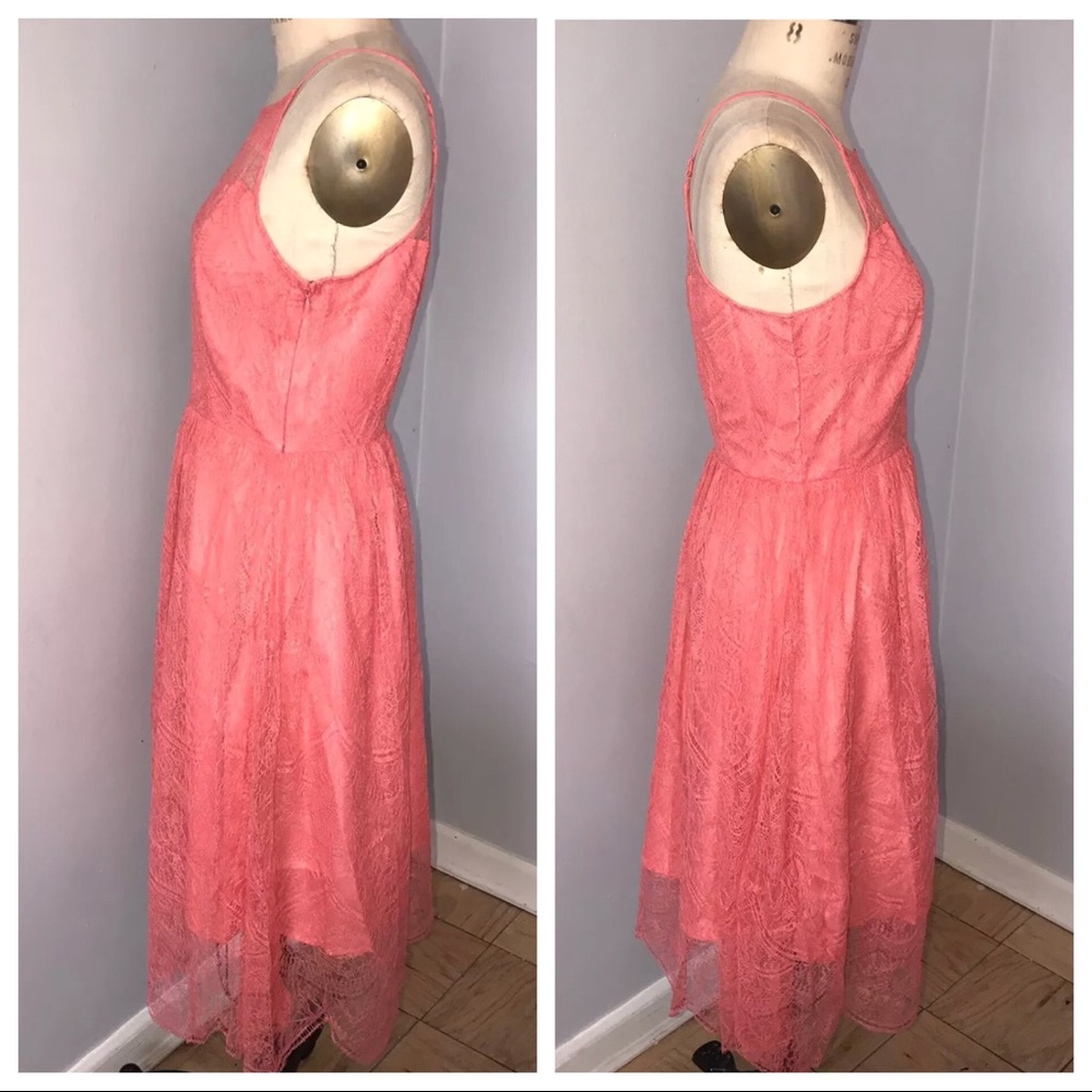 NWT Cupcakes And Cashmere Lace Dress - Picture 3 of 8